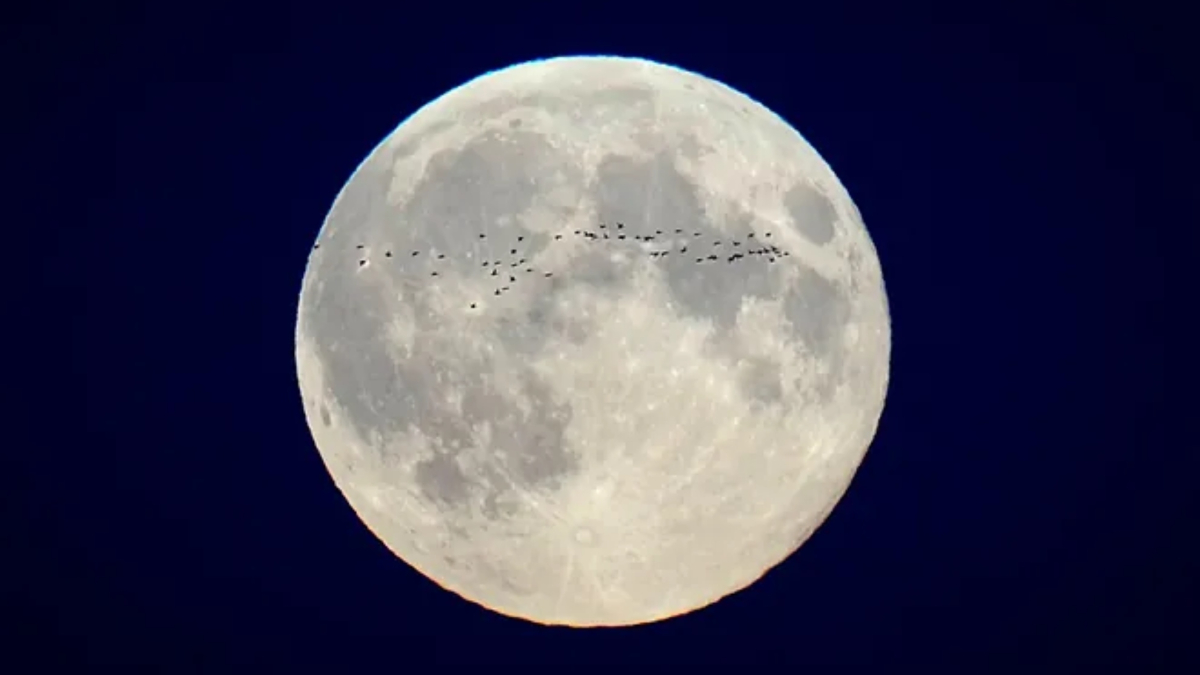What time is the 'Lunar X' on the Moon tonight? How to watch a