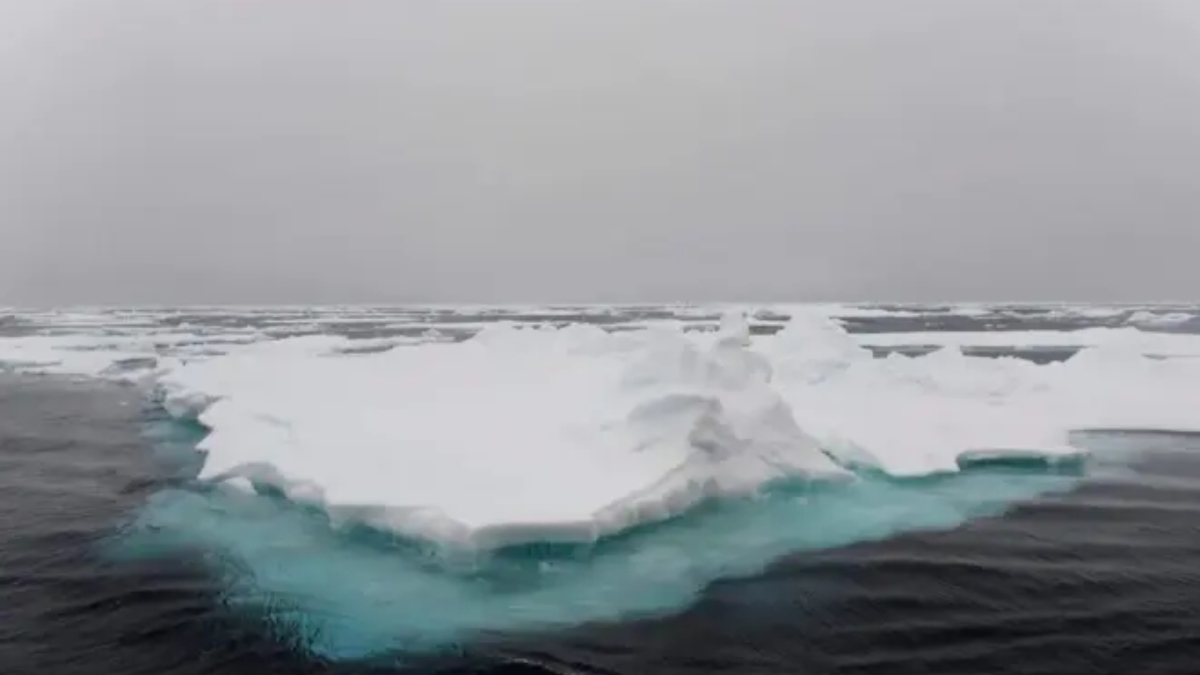 Great excitement in science after team of researchers detects radio ...