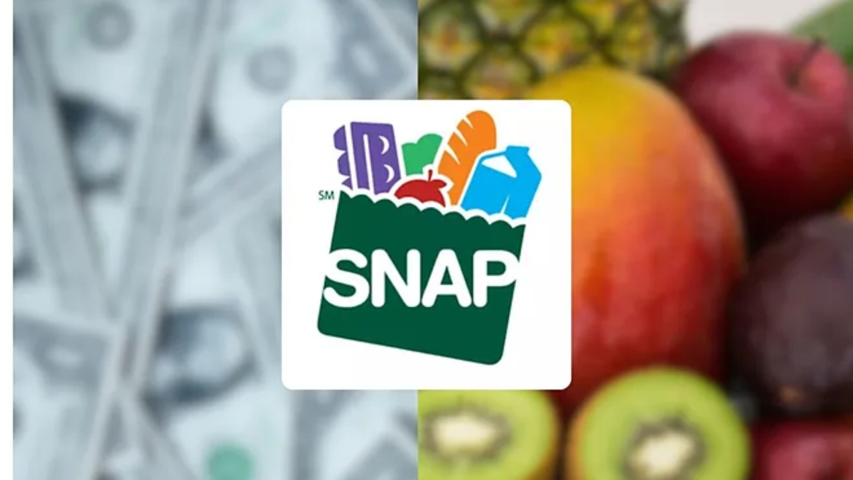 Who receives their SNAP Florida payment in the second week of July 2025 ...