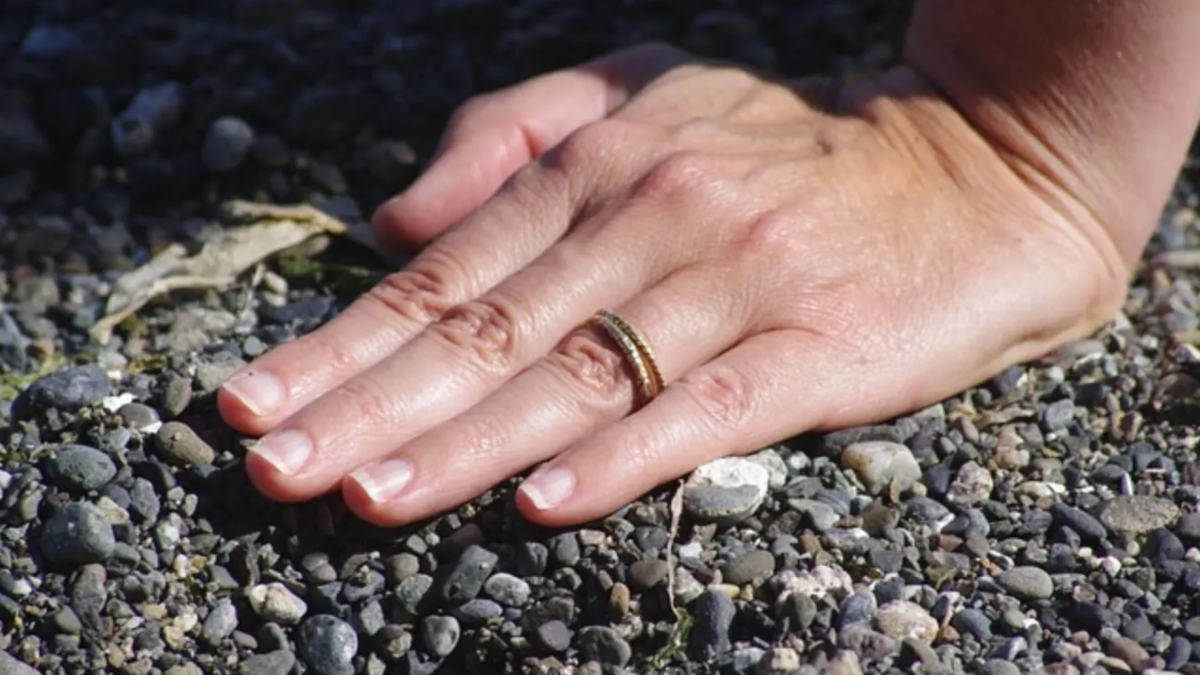 Sentian Hands Revolution in human science: study finds our hands are more sensitive ...