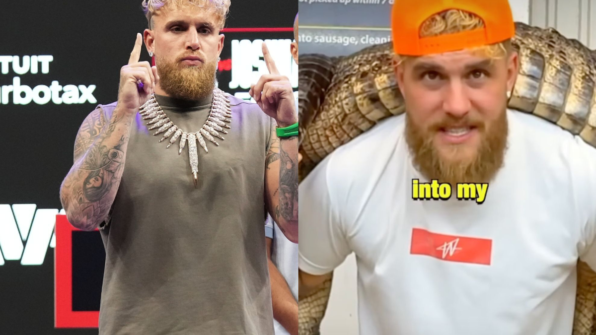 Jake Paul shows how he turned crocodile skin into his fight outfit | MARCA