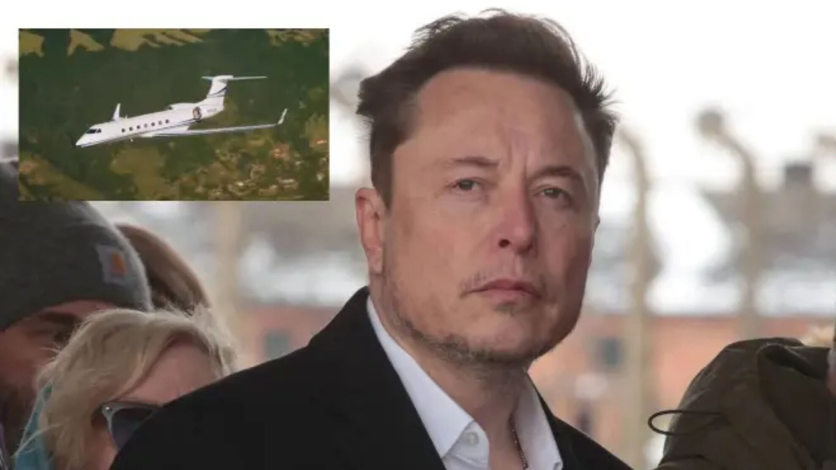Elon Musk's new private jet: it seats 19 passengers and holds several  records in aviation history | MARCA
