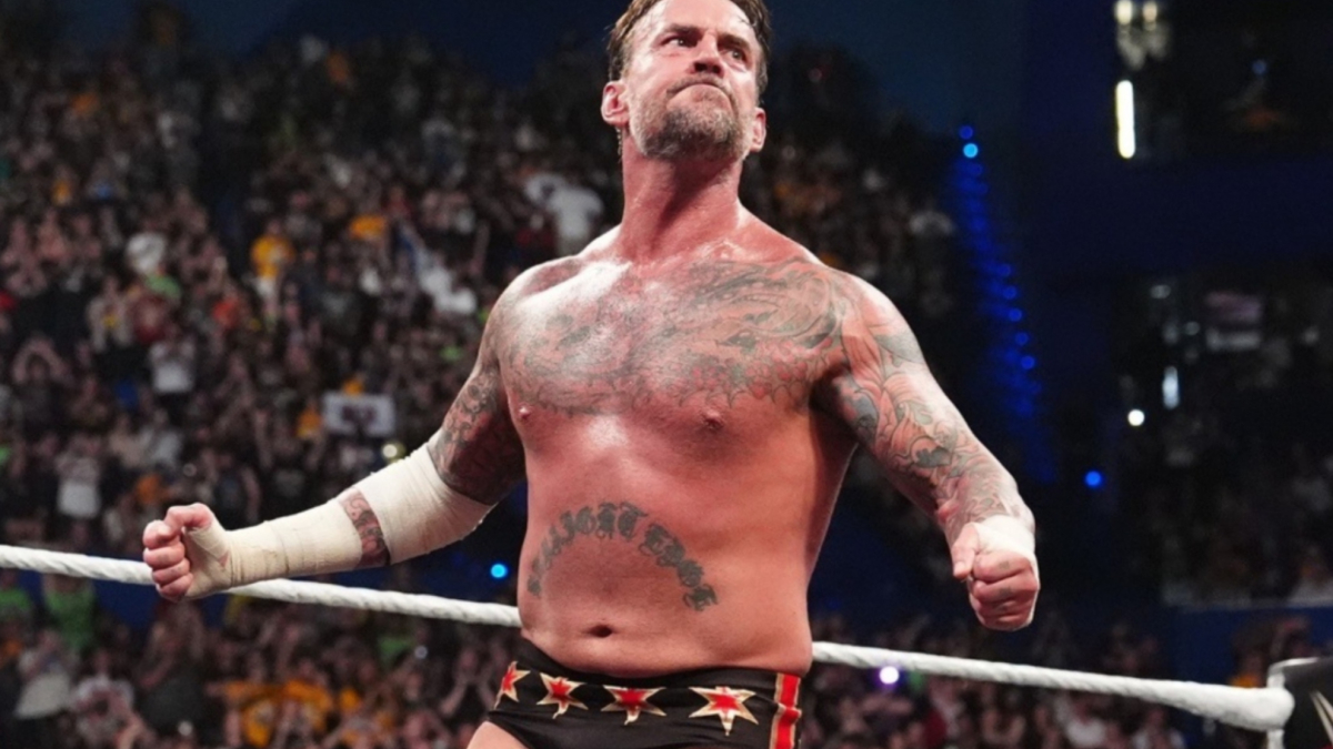 CM Punk will fight again for the WWE World Heavyweight Championship | MARCA