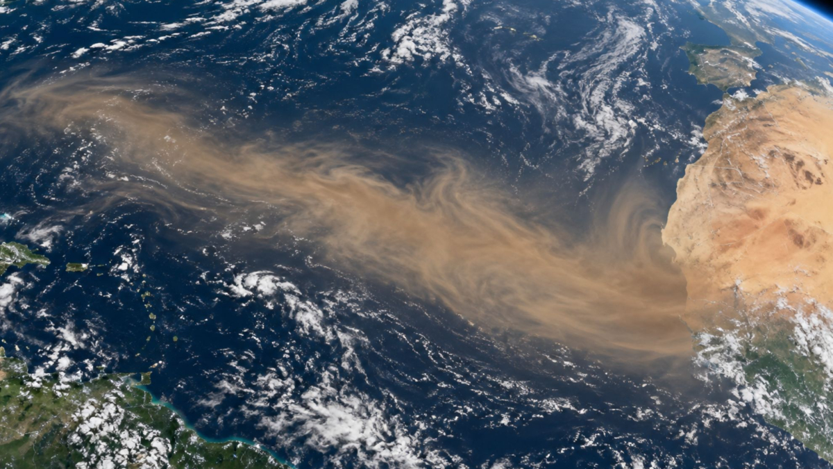A 3,000-mile Saharan dust plume is nearing Florida: When will it arrive and who is at risk?