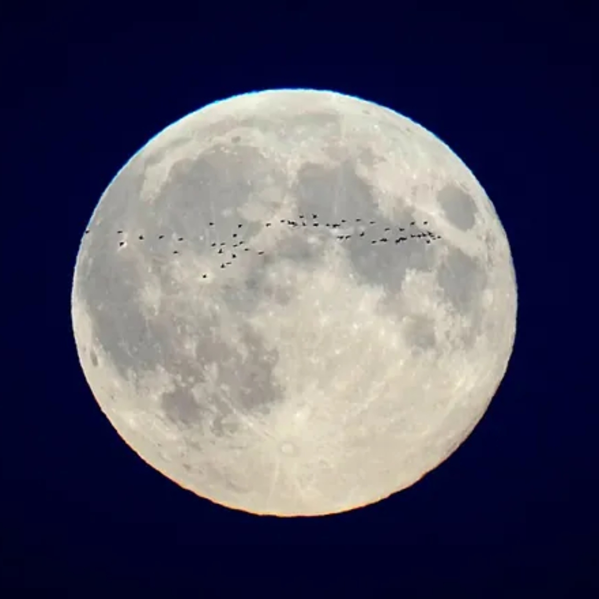 What time is the 'Lunar X' on the Moon tonight? How to watch a