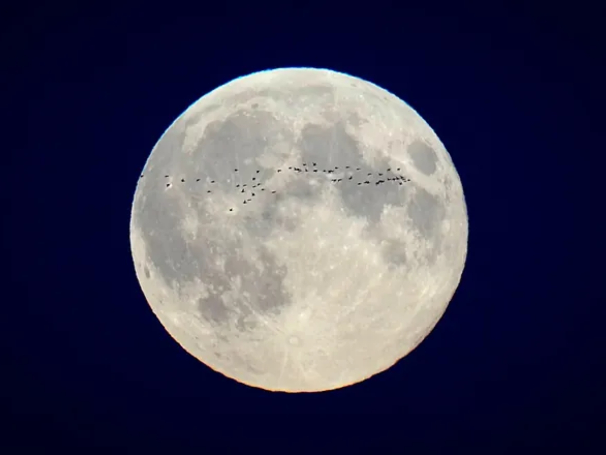 What time is the 'Lunar X' on the Moon tonight? How to watch a