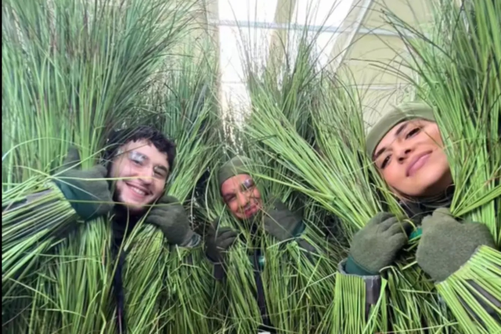 The human trees of the Super Bowl.