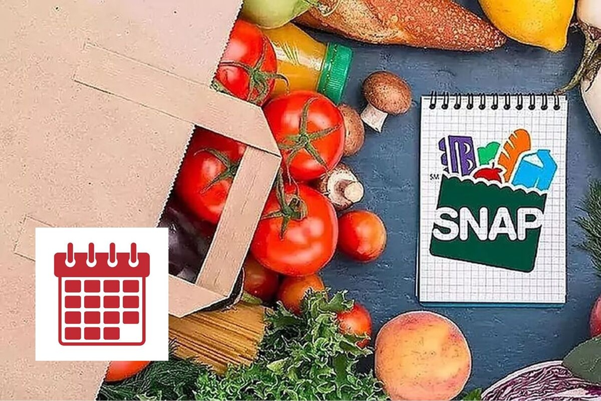 Who receives their SNAP Florida payment this week? List for the last ...