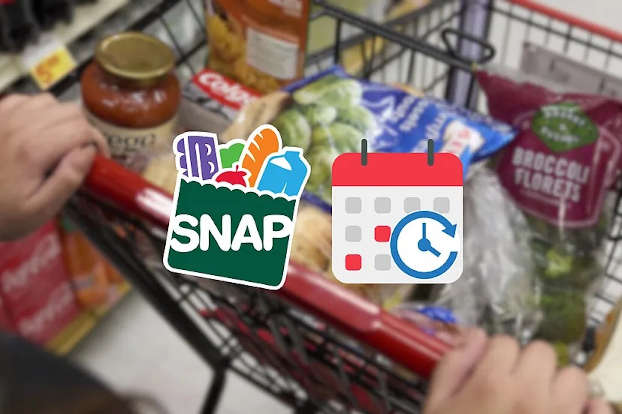Food Stamps March 2026: SNAP Payment Schedule by State | MARCA
