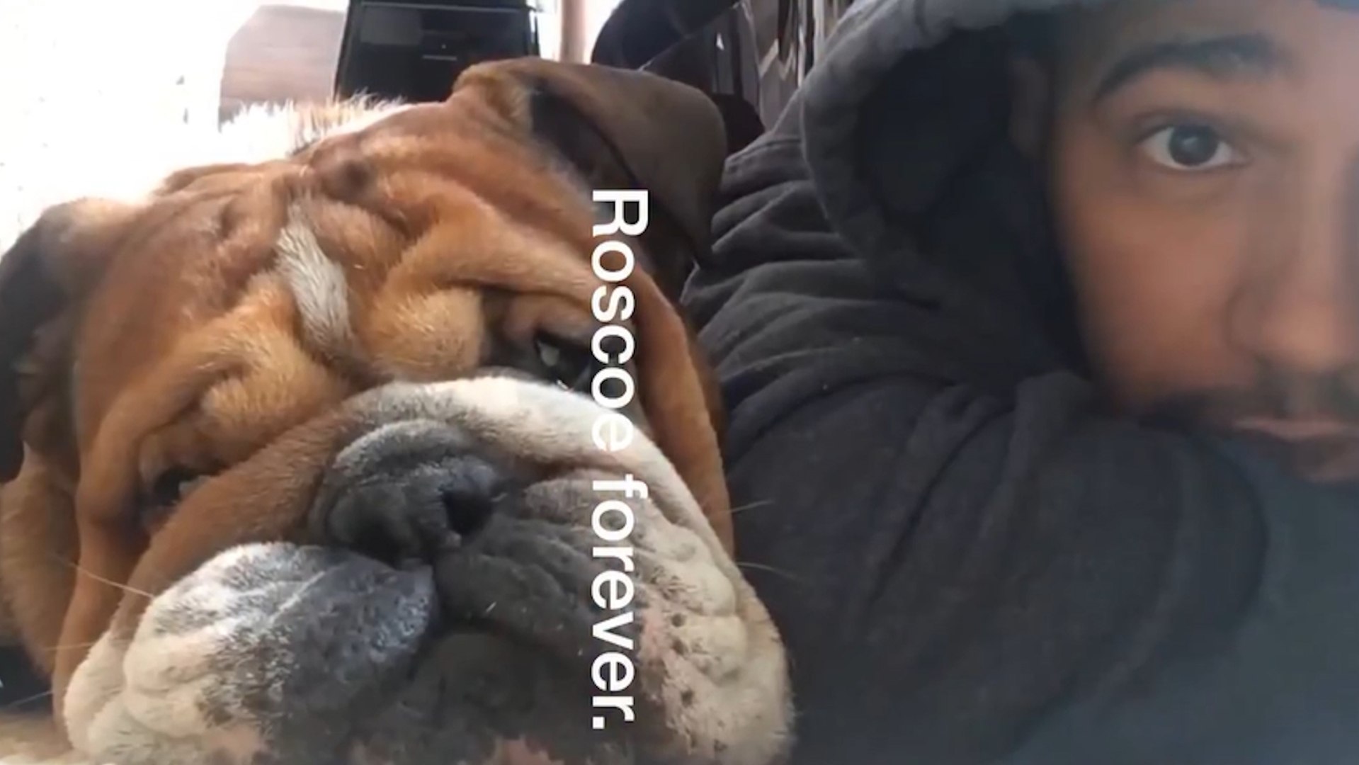 Lewis Hamilton says goodbye to his best friend, Roscoe