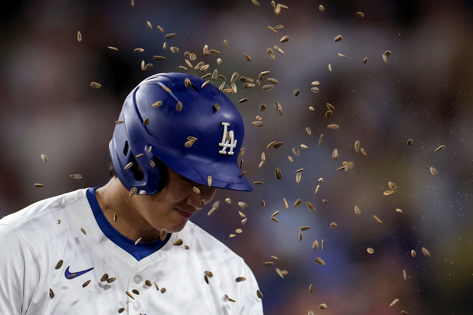 Los Angeles Dodgers designated hitter Shohei Ohtani is showered with sunflower seeds after hitting a home run during the ninth inning of a baseball game against the Minnesota Twins Tuesday, July 22, 2025, in Los Angeles.