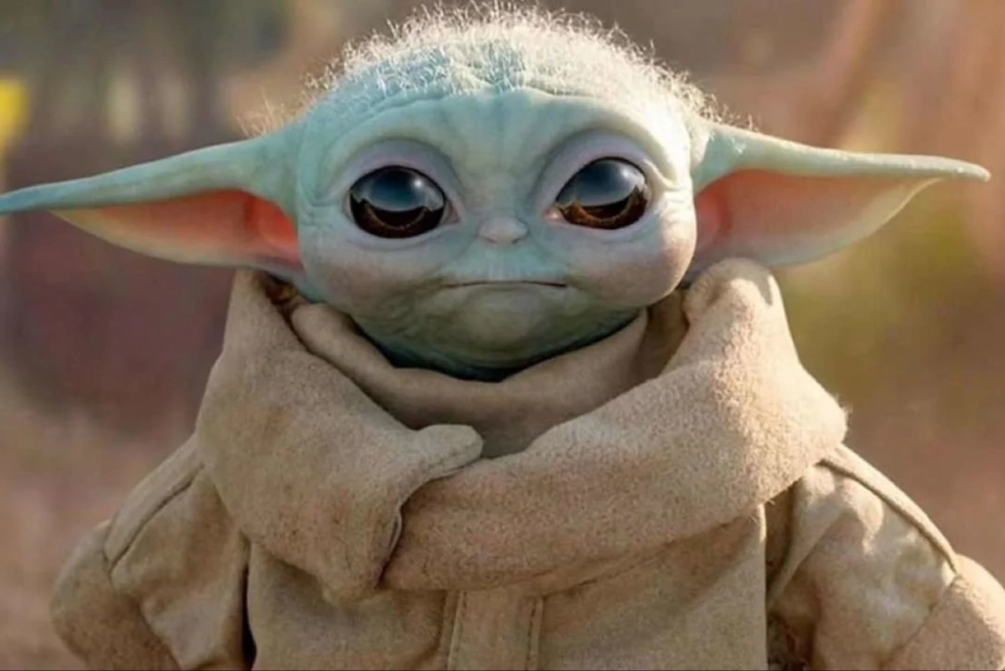 Grogu captivated fans all over the world since he appeared in The Mandalorian.