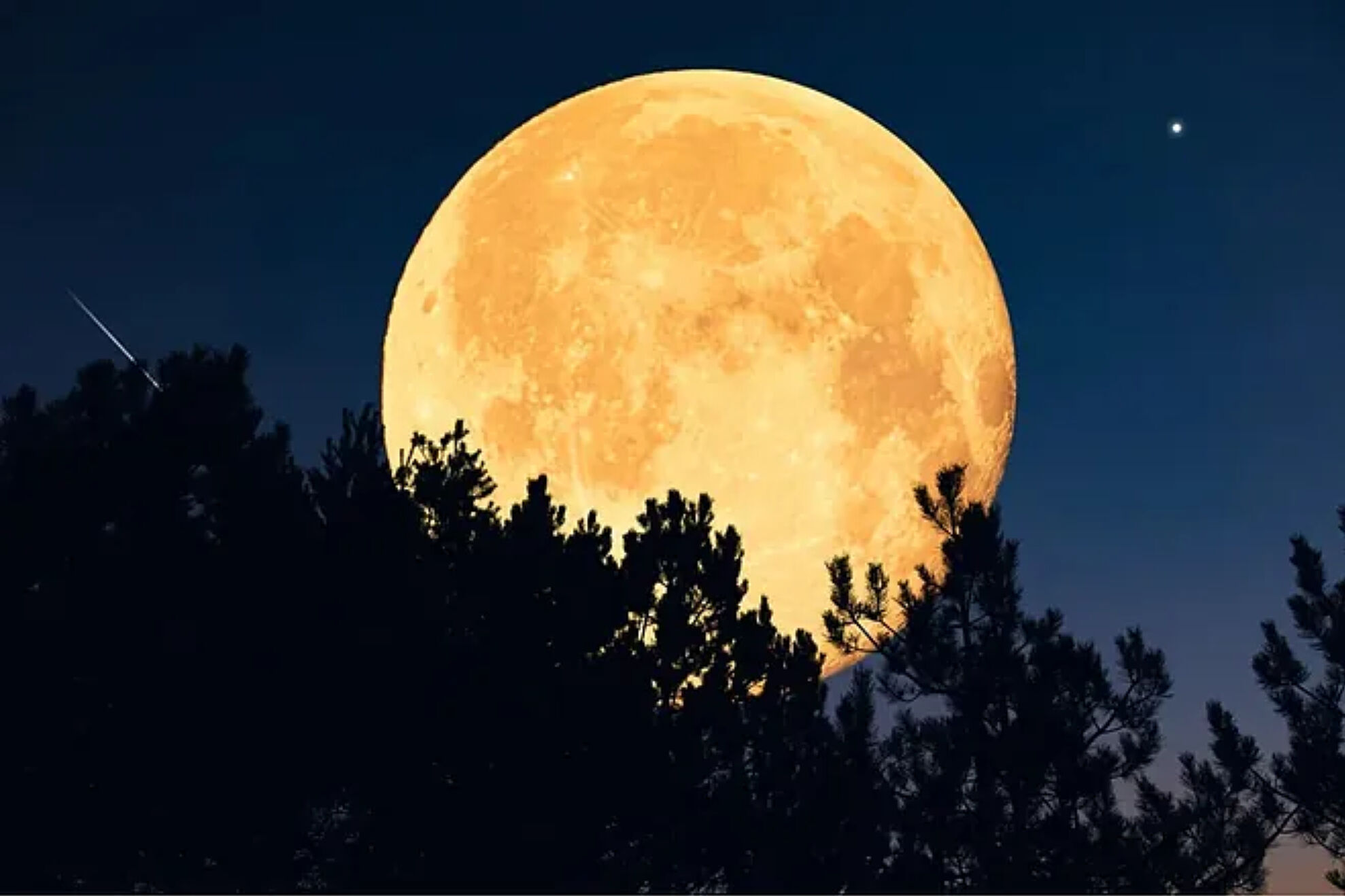 What time is the full moon tonight: peak and how to see the Harvest ...