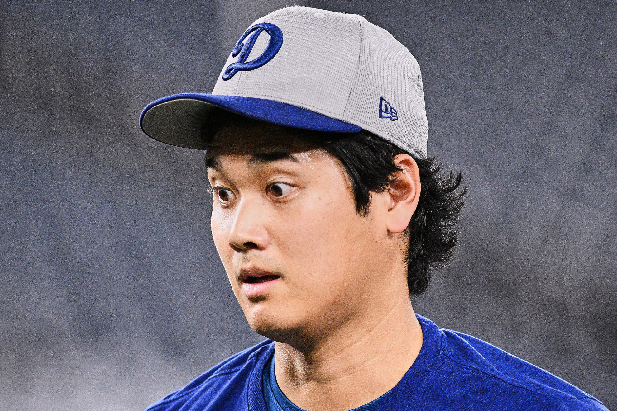 Shohei Ohtani has been everything the Los Angeles Dodgers could have hoped for.