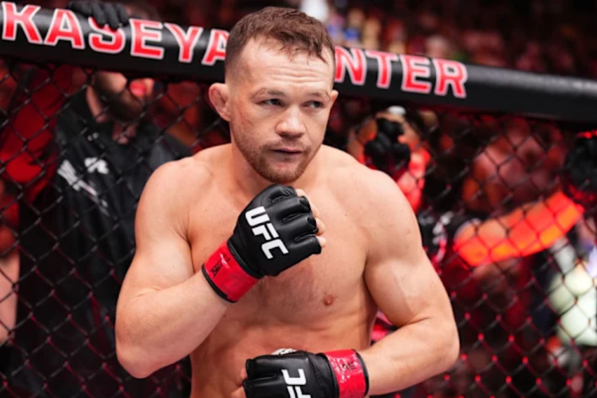 Russian UFC fighter Petr Yan. Russian UFC fighter Petr Yan