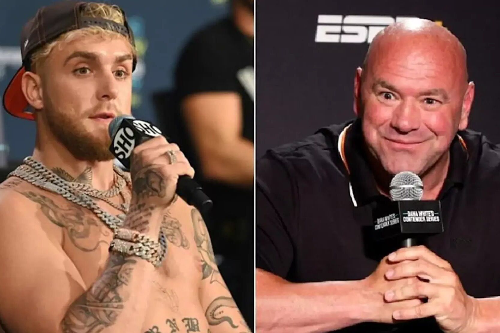 Jake Paul and Dana White
