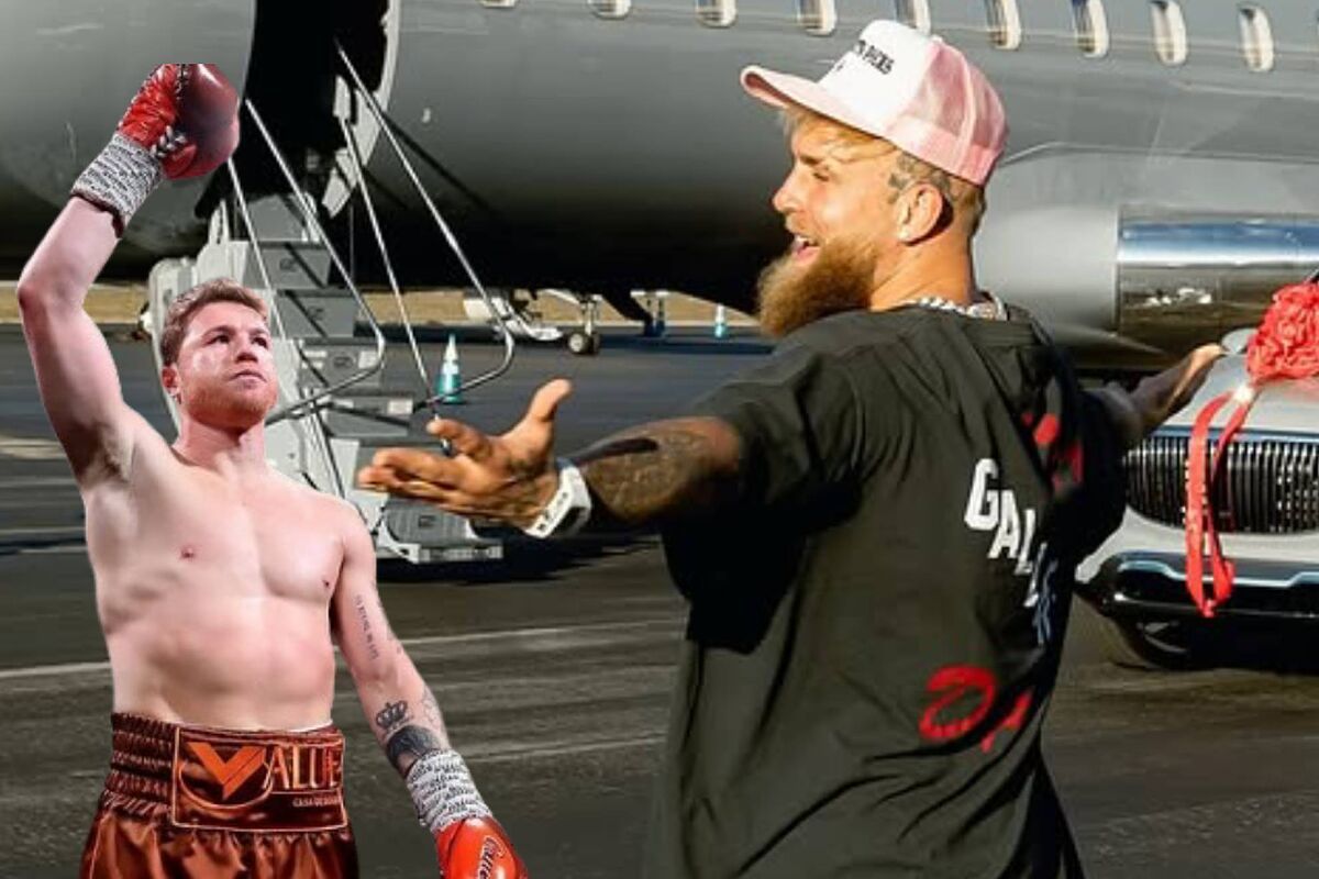 Jake Paul seems to be calmer about Canelo Alvarez's refusal.