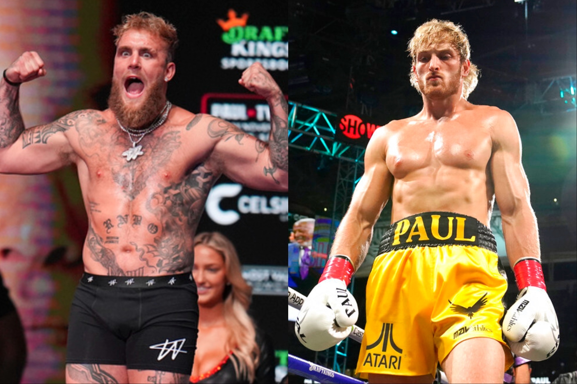 The physical development of Jake and Logan Paul has given rise to all kinds of speculation.