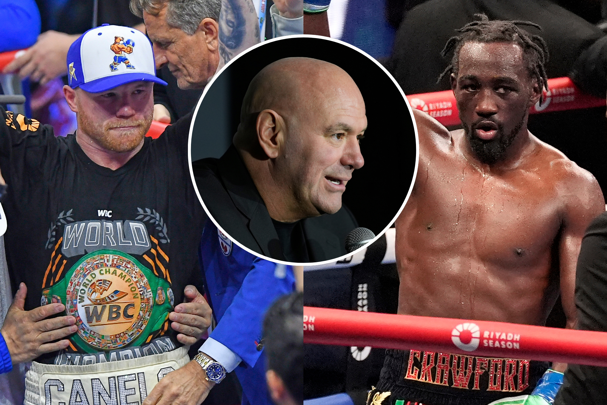 Canelo Alvarez and Terence Crawford's epic fight will be co-promoted by Dana White.
