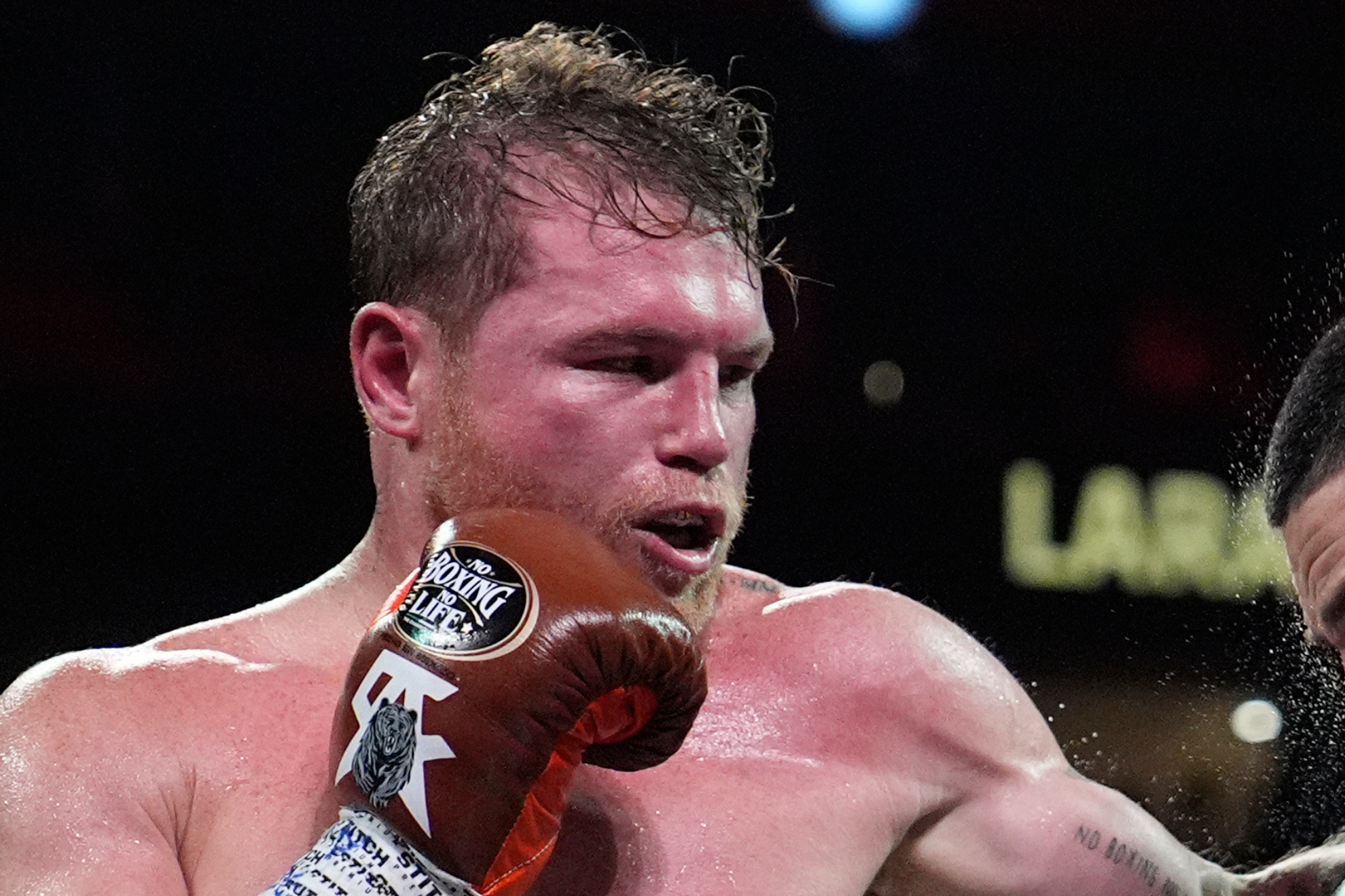 Canelo Alvarez is gearing up to fight Terence Crawford on September 13 in Las Vegas.