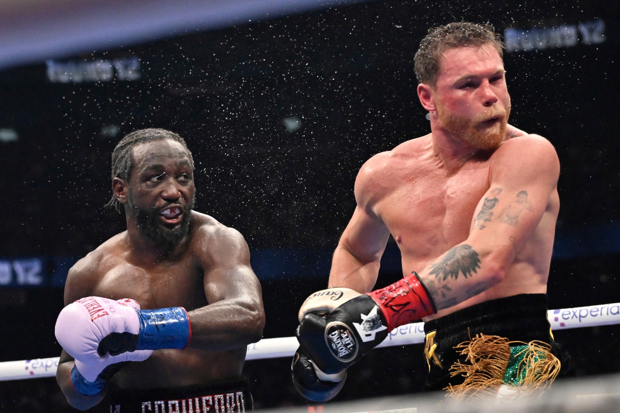 Terence Crawford and Saul Alvarez fighting