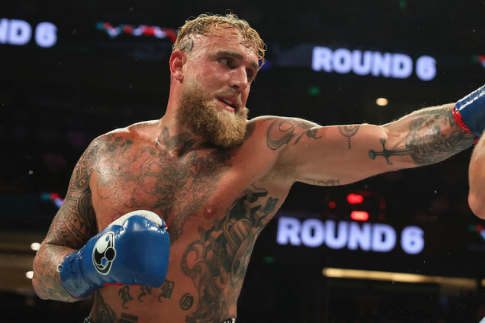 Jake Paul is hoping to fight on November 14 whether Gervonta Davis is in the ring with him or not.