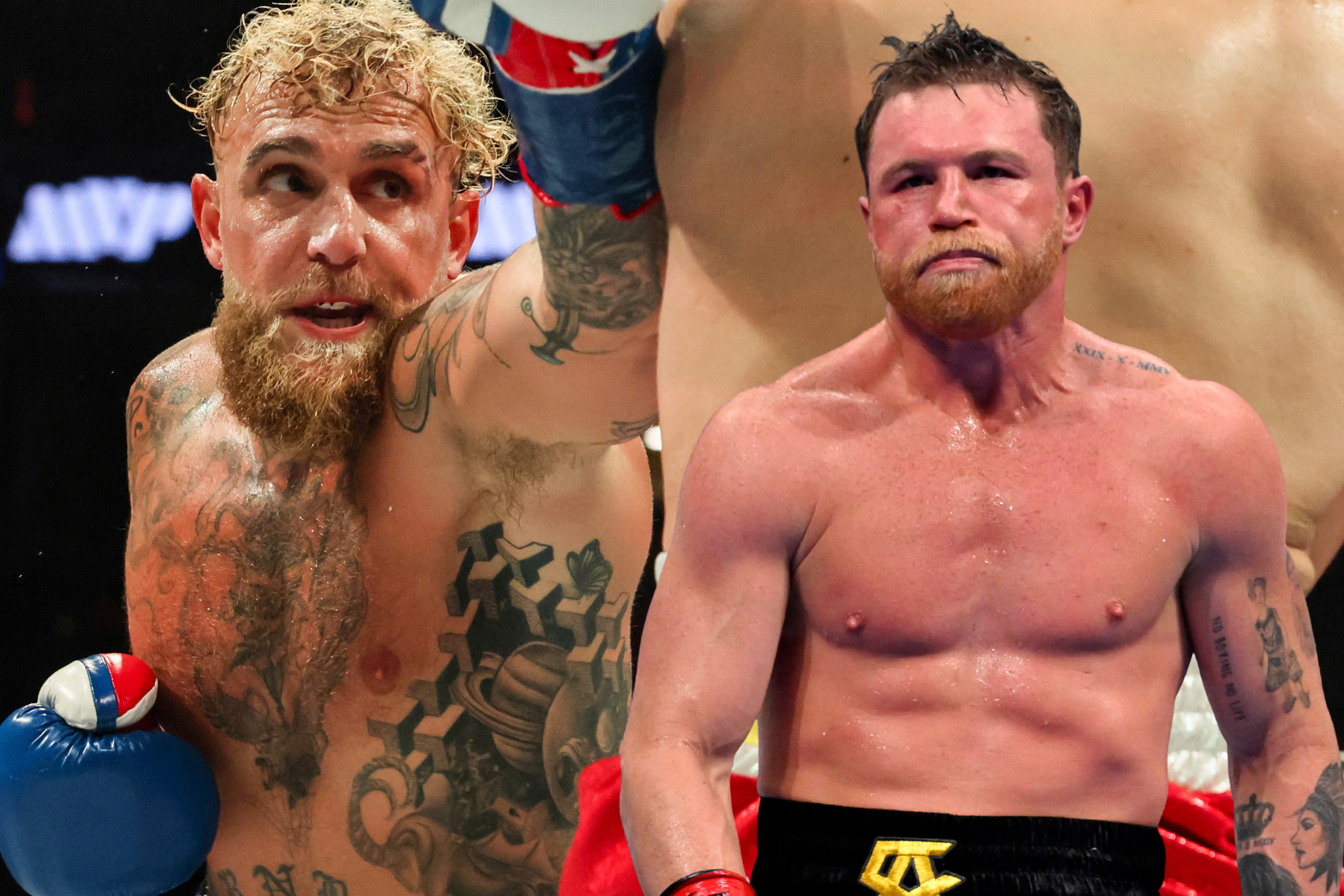 Jake Paul & Canelo Alvarez