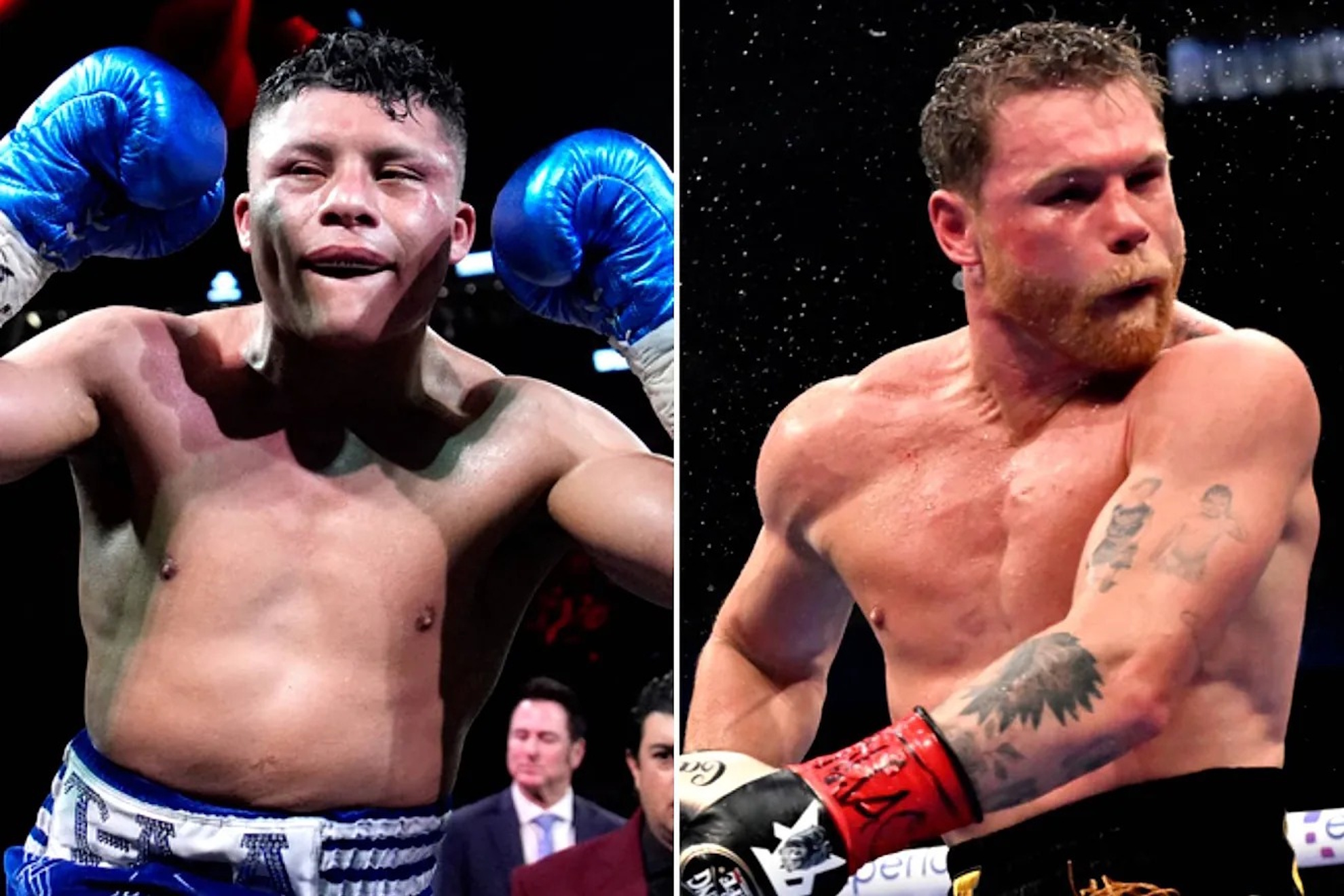 Pitbull Cruz and Canelo Alvarez.