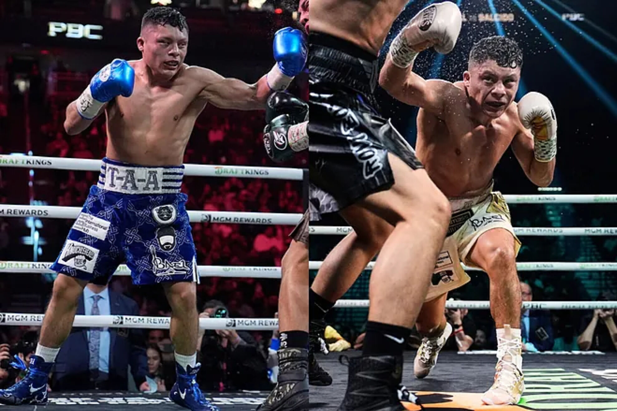 Pitbull Cruz.