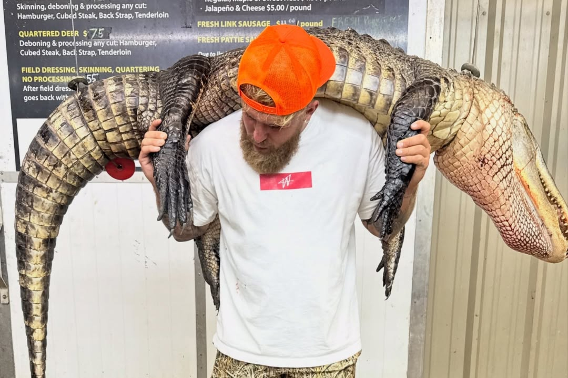 Jake Paul channels Hulk Hogan with wild alligator-skin outfit for Anthony Joshua fight