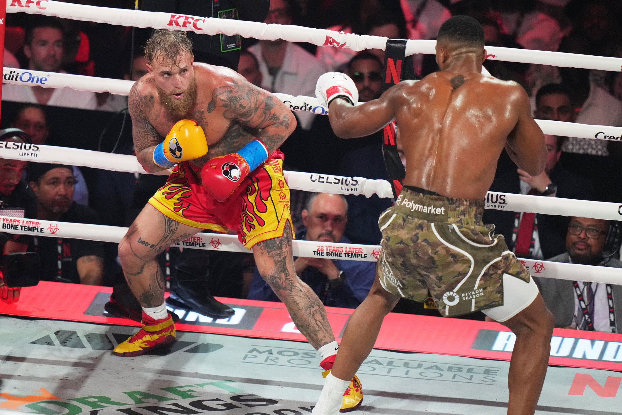 Jake Paul and Anthony Joshua