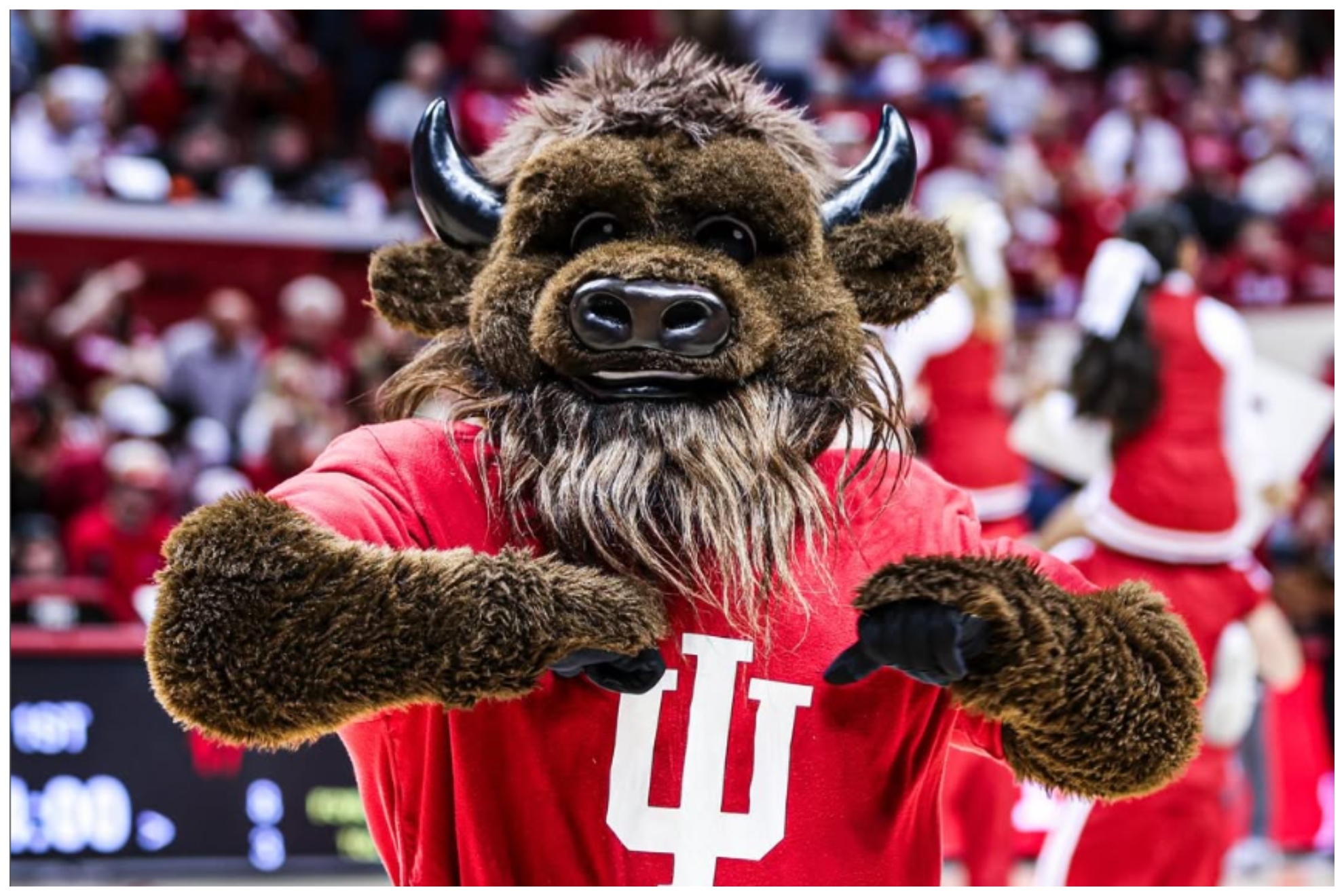 Maskcout What is Indiana's mascot and what does Hoosier mean? | MARCA