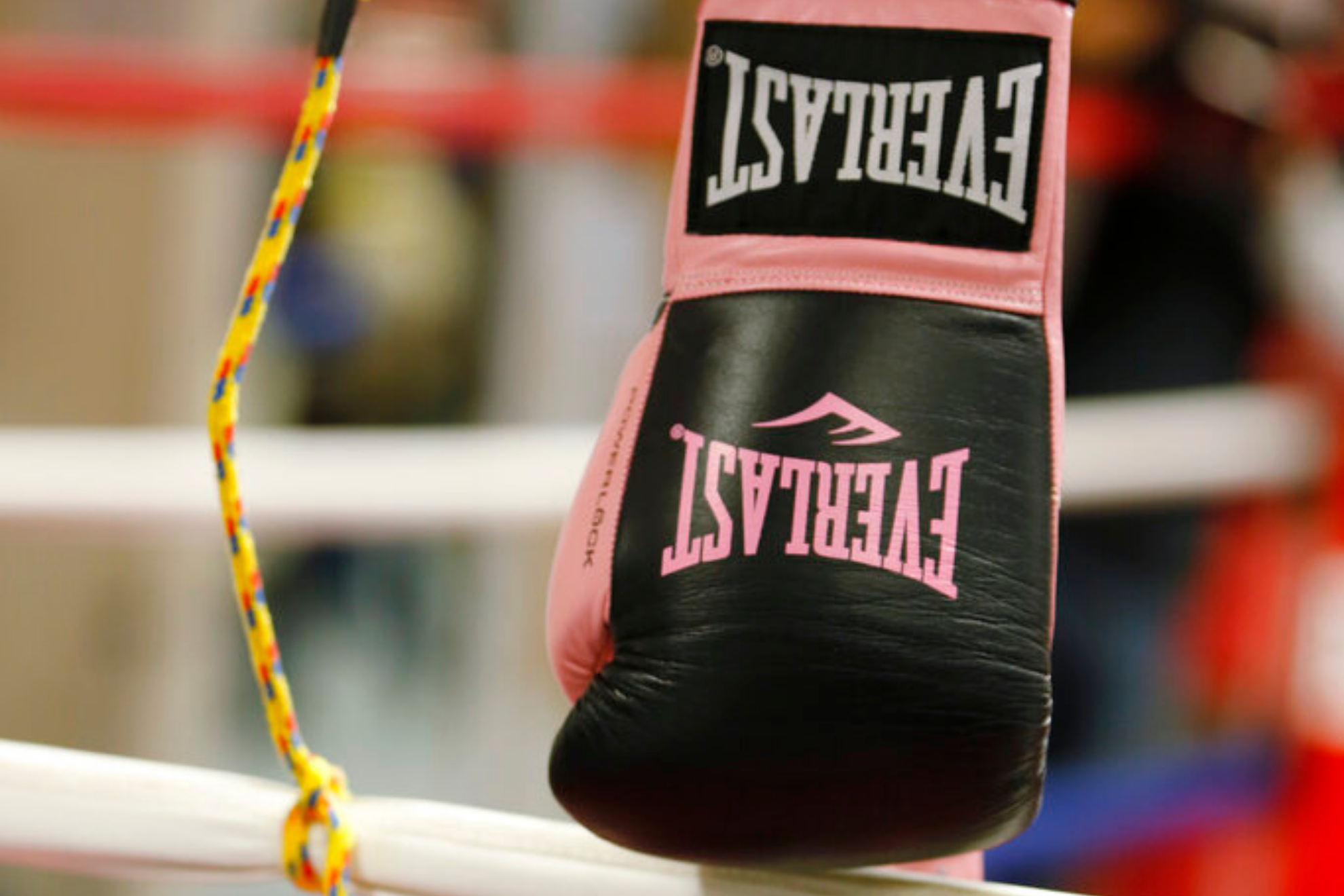 Boxing gloves