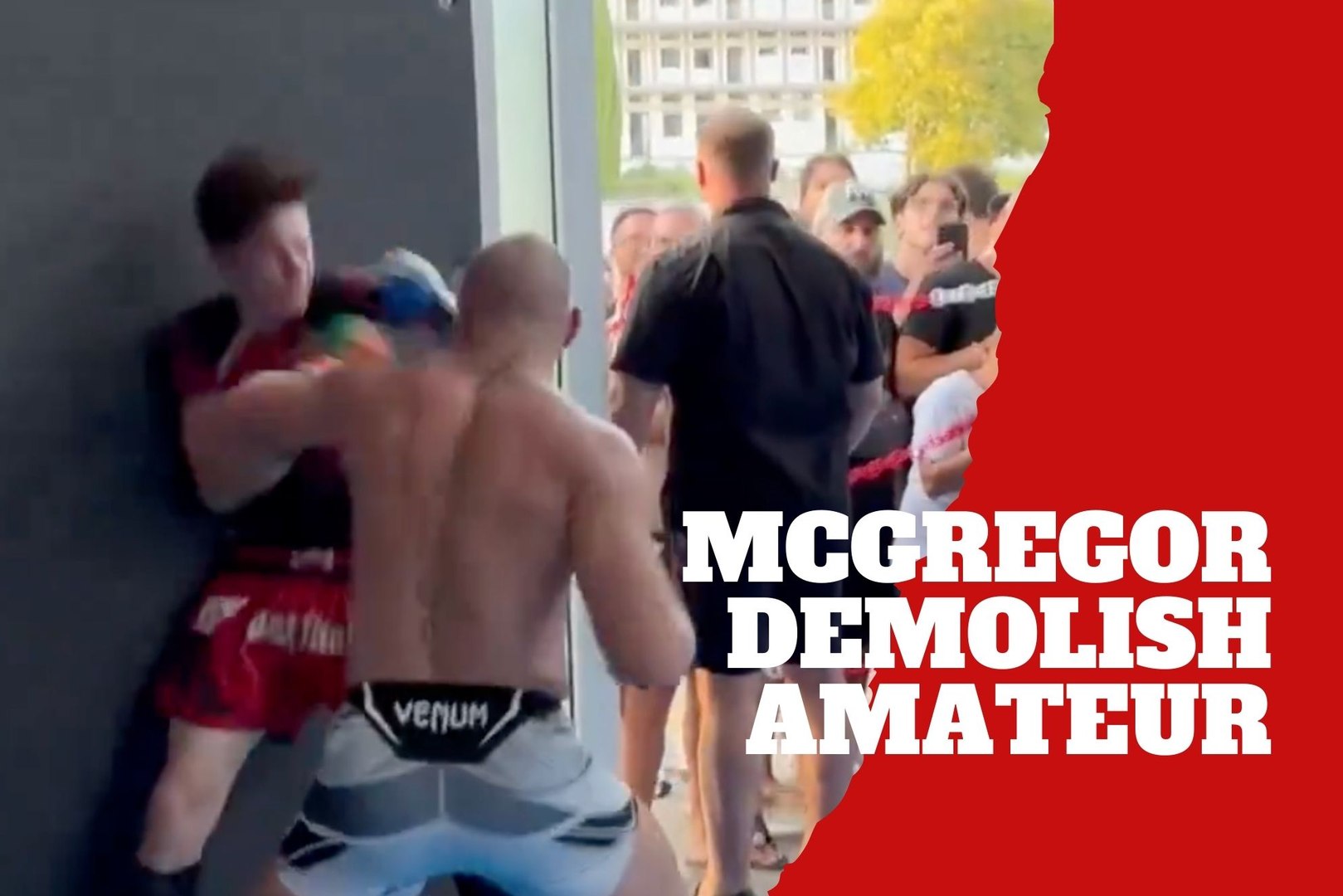 Conor McGregor demolish a young undersized fighter while training for a comeback