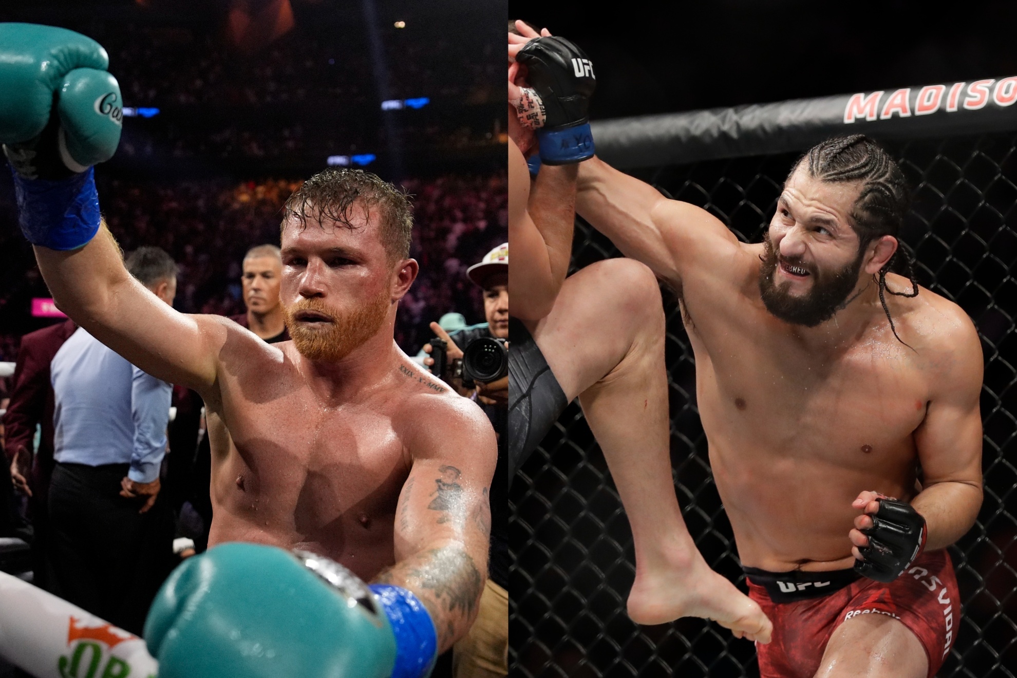 Canelo vs Masvidal