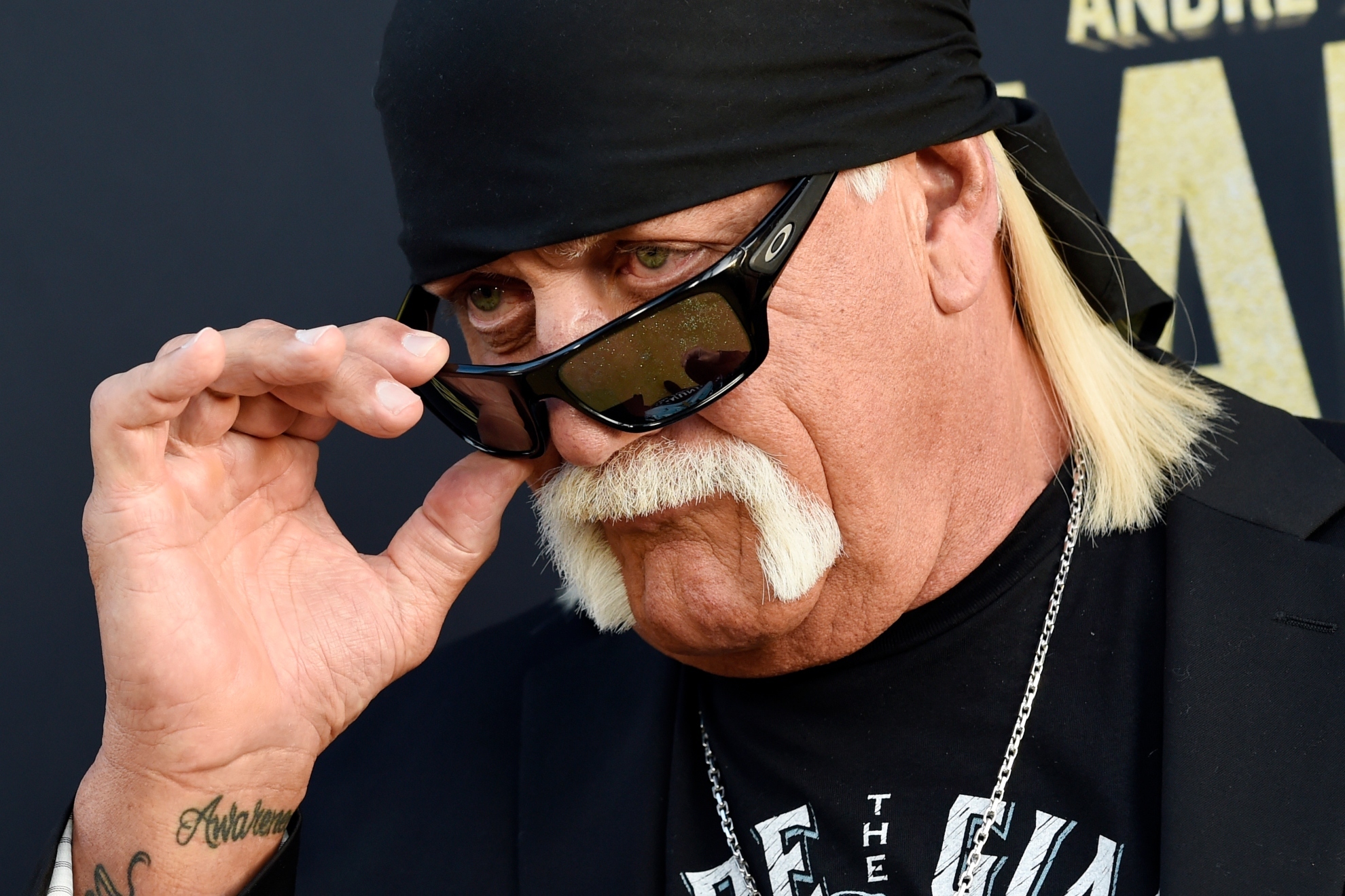 Two Days Before Hulk Hogan's Death, His Friend Said 'He's Great'-What Happened?