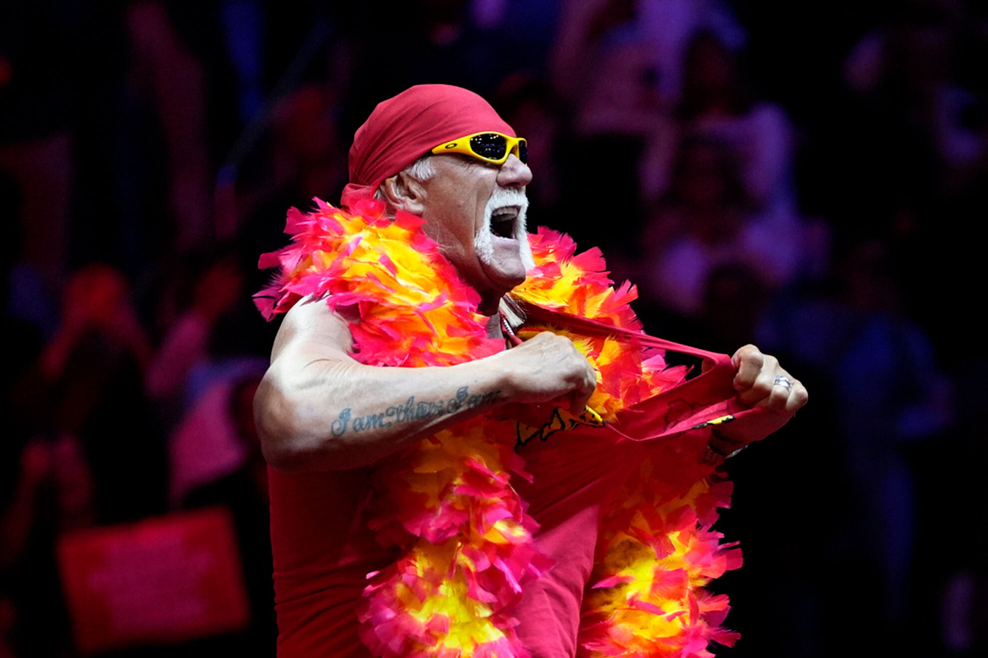 Hulk Hogan