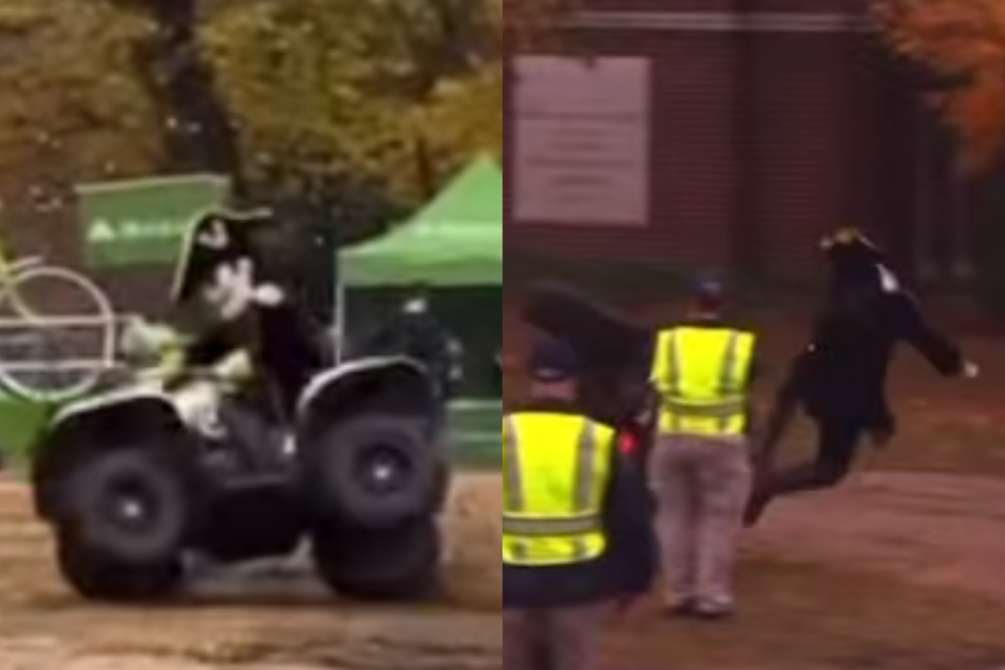 The Commodores mascot turns an innocent hype moment into a viral near-disaster