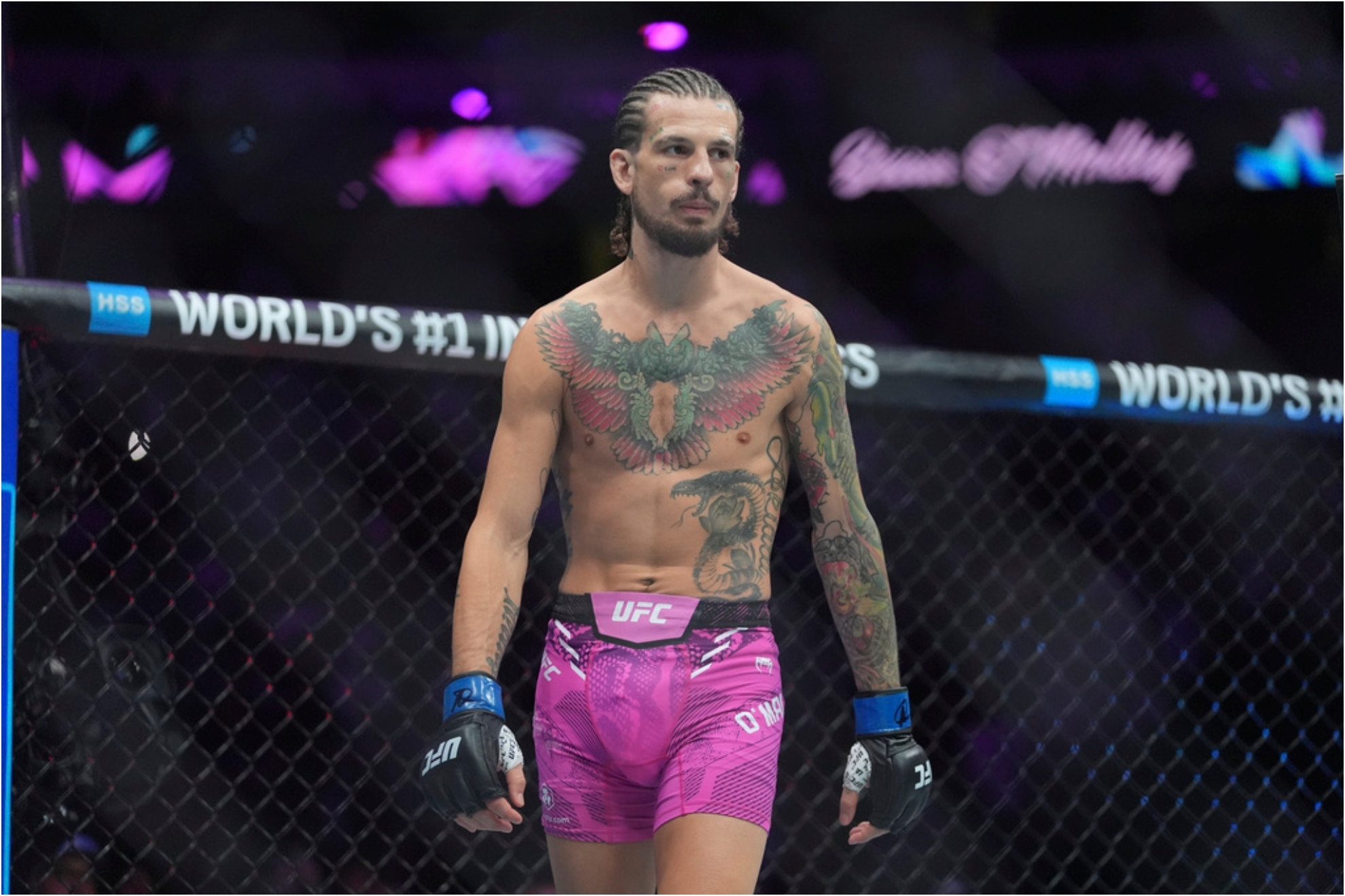 Sean O'Malley before a bantamweight title bout against Georgia's Merab Dvalishvili.