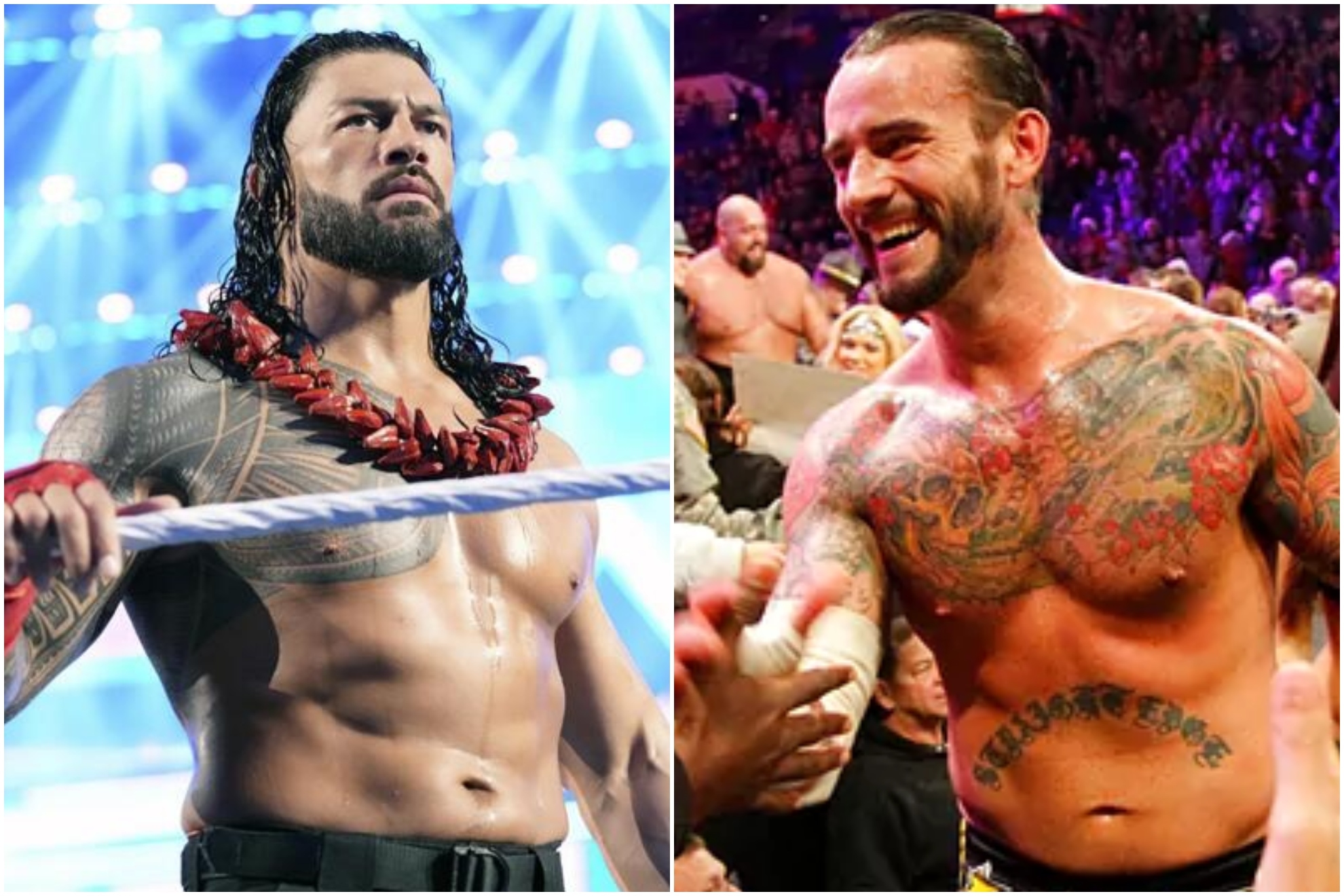Roman Reigns and CM Punk