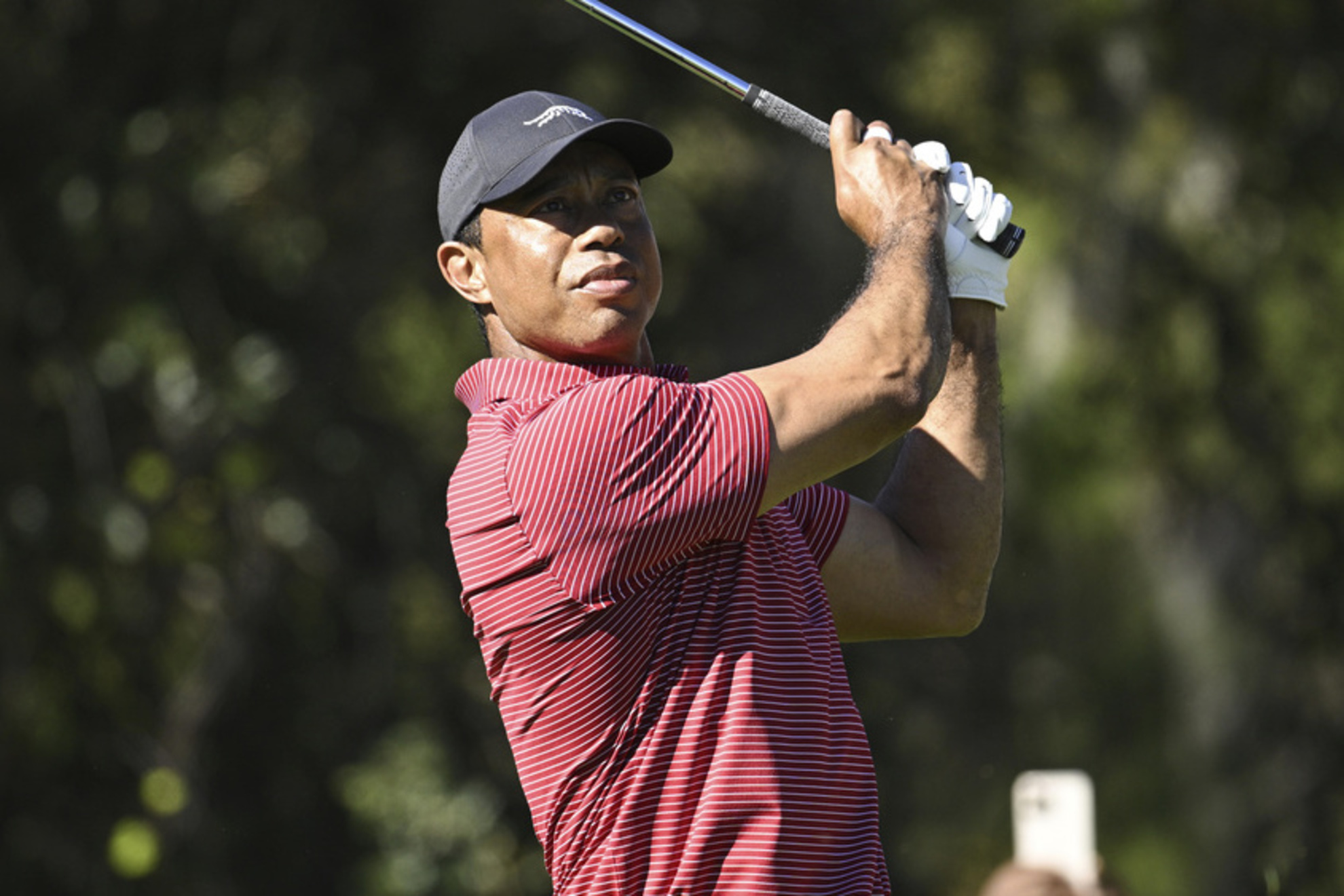 Tiger Woods