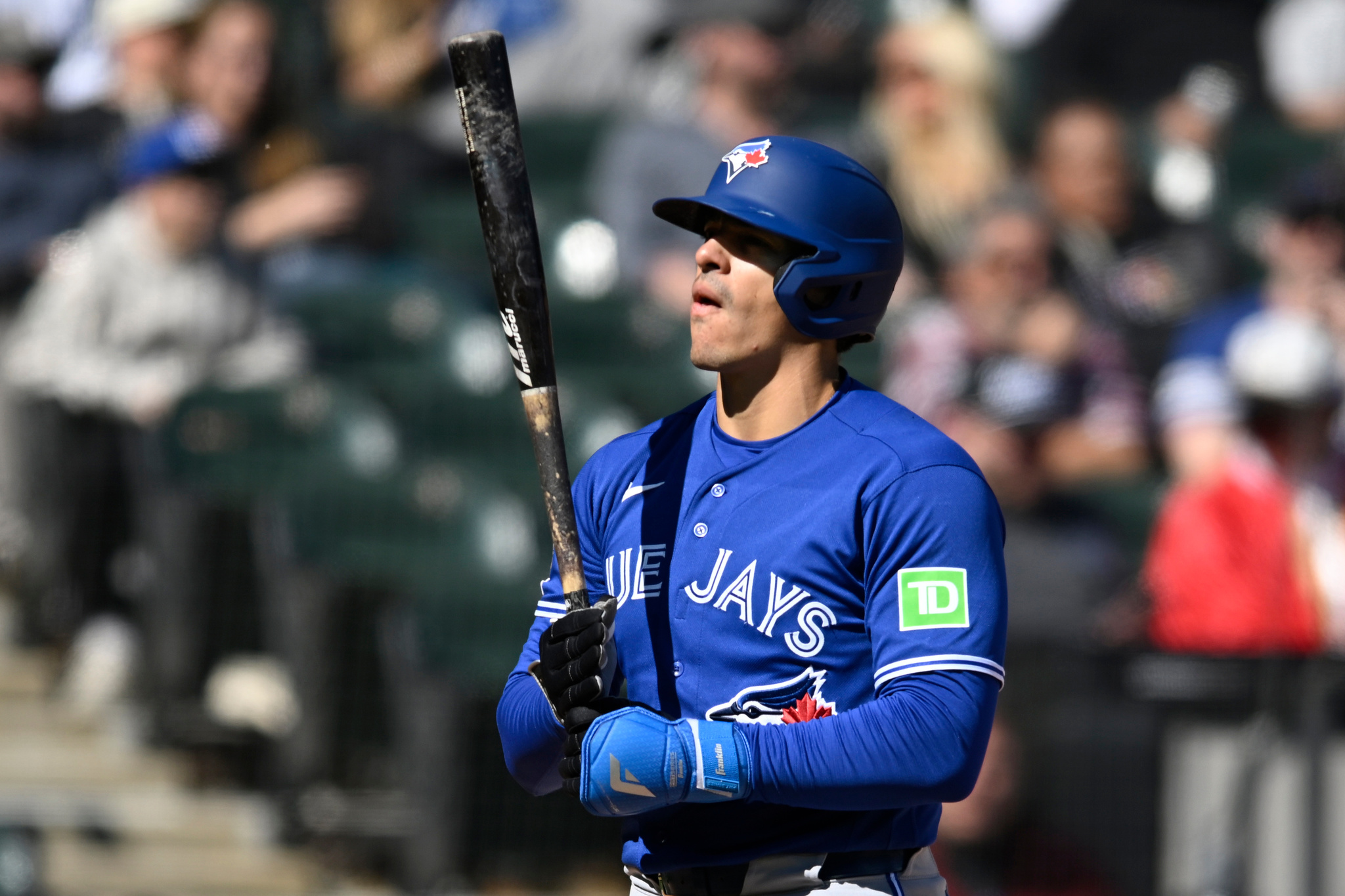 Toronto Blue Jays