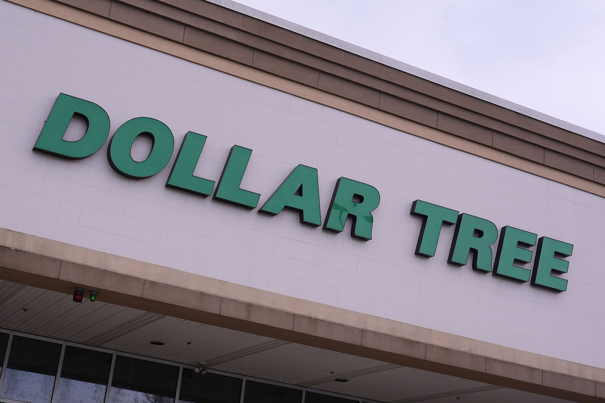 Best Dollar Tree New Arrivals for April 2026: Top picks | MARCA