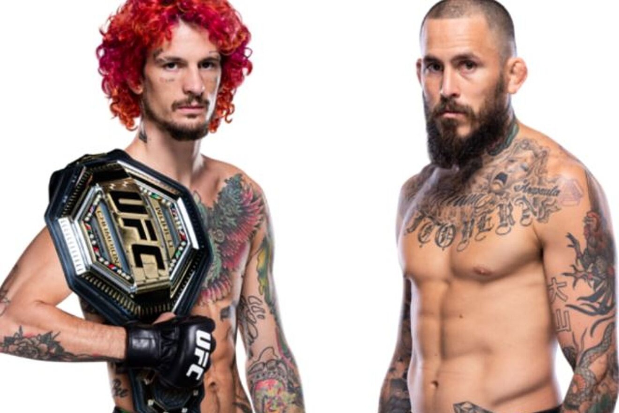 Sean O'Malley vs Marlon Vera