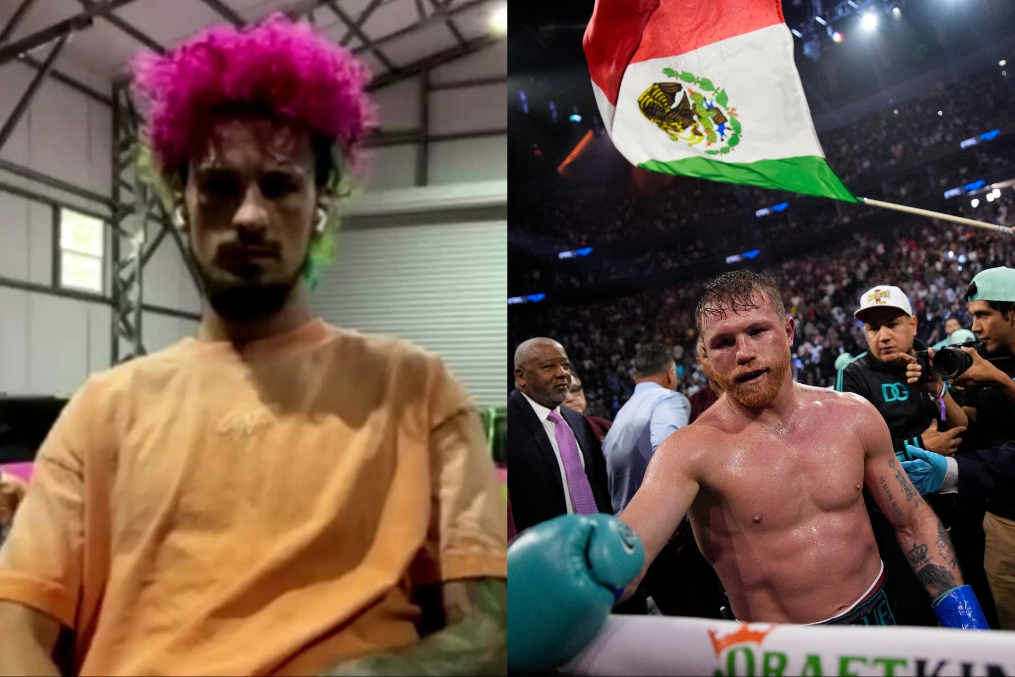Sean O'Malley and Canelo Alvarez