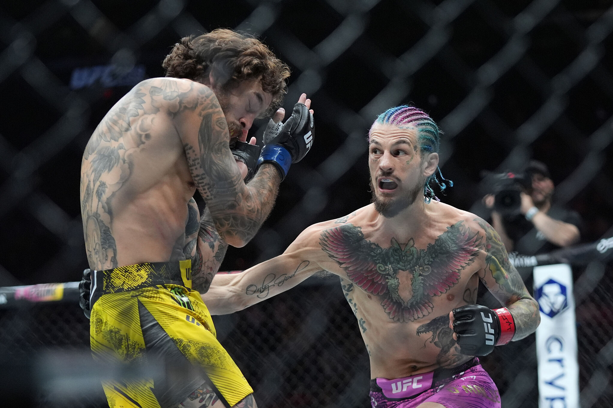 Sean O'Malley in action