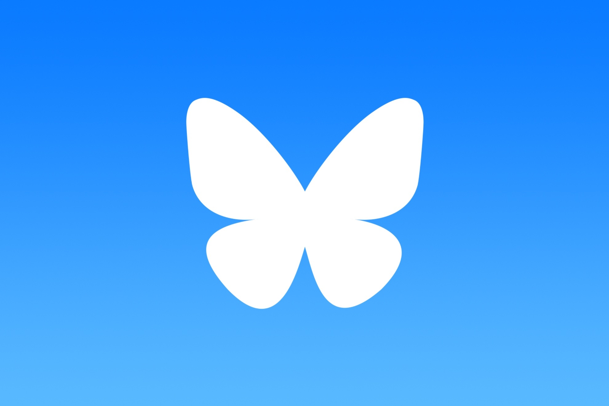 Social media network 'Bluesky' has gained millions of followers after the US Presidential Election