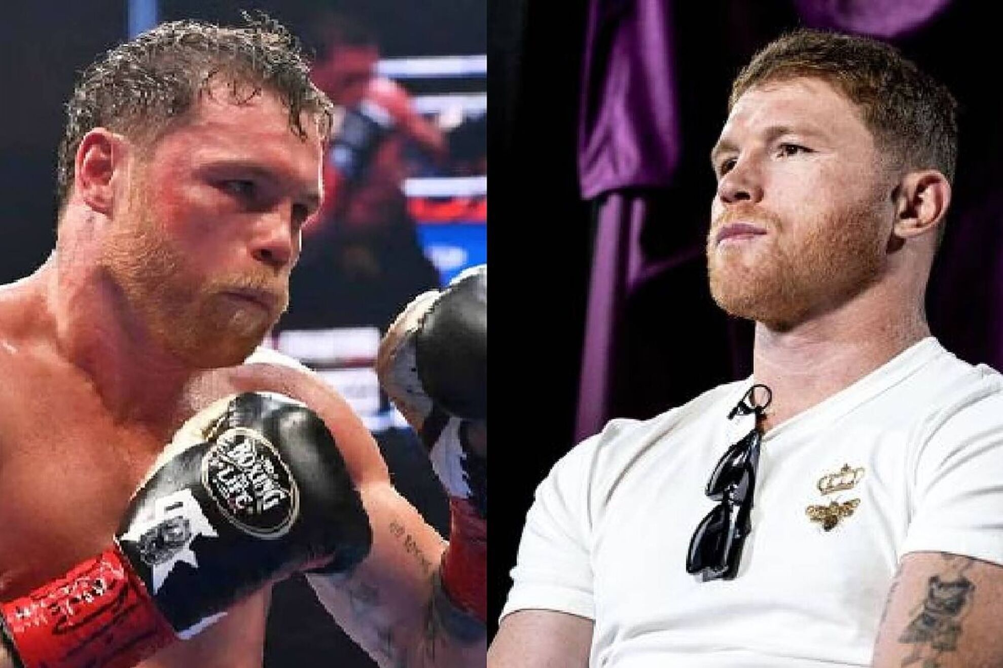 What will Canelo Alvarez do in 2026 after losing to