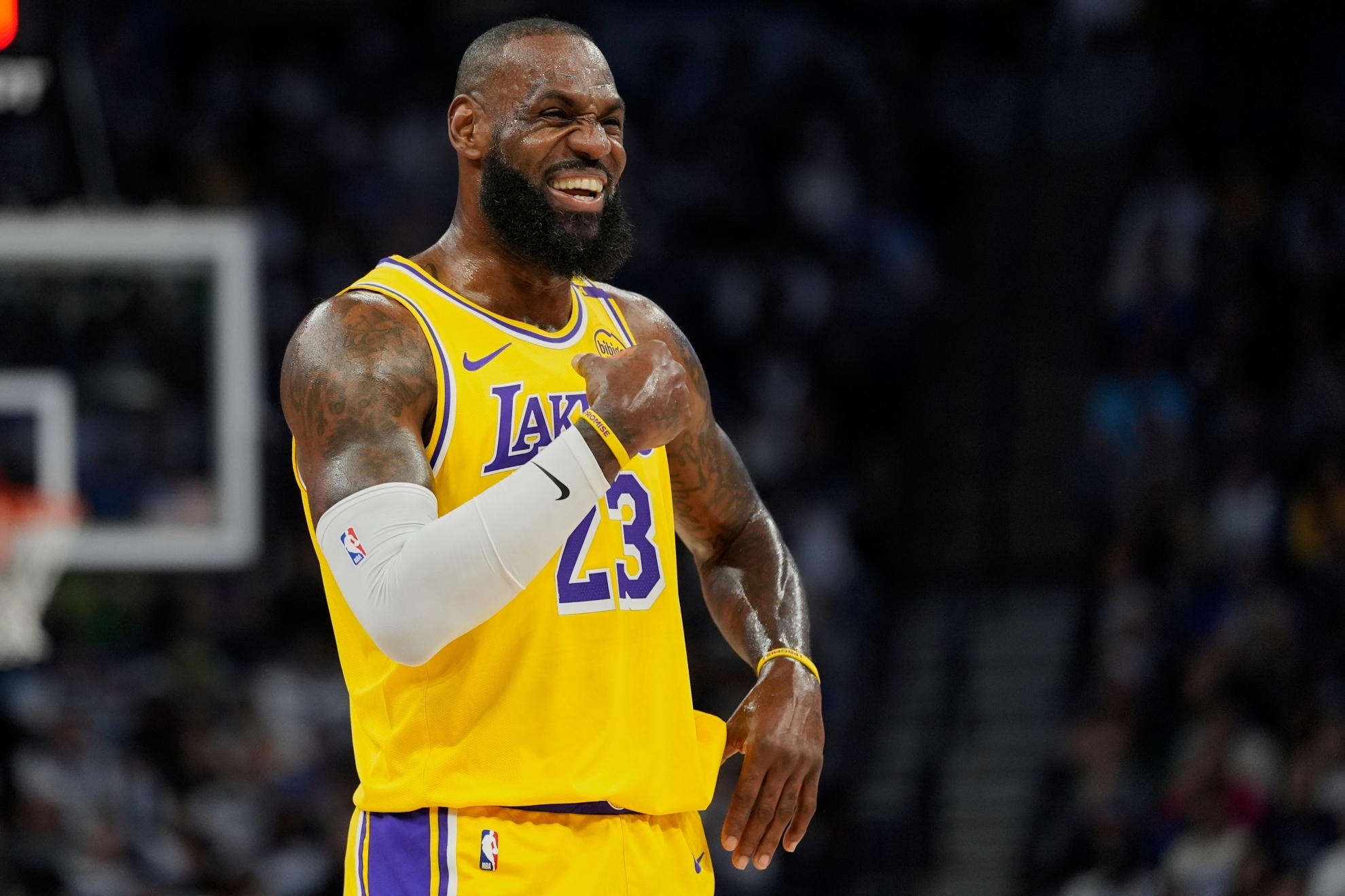 LeBron James jokes Will Anderson Jr. is his 'fourth child' after courtside encounter — image 1