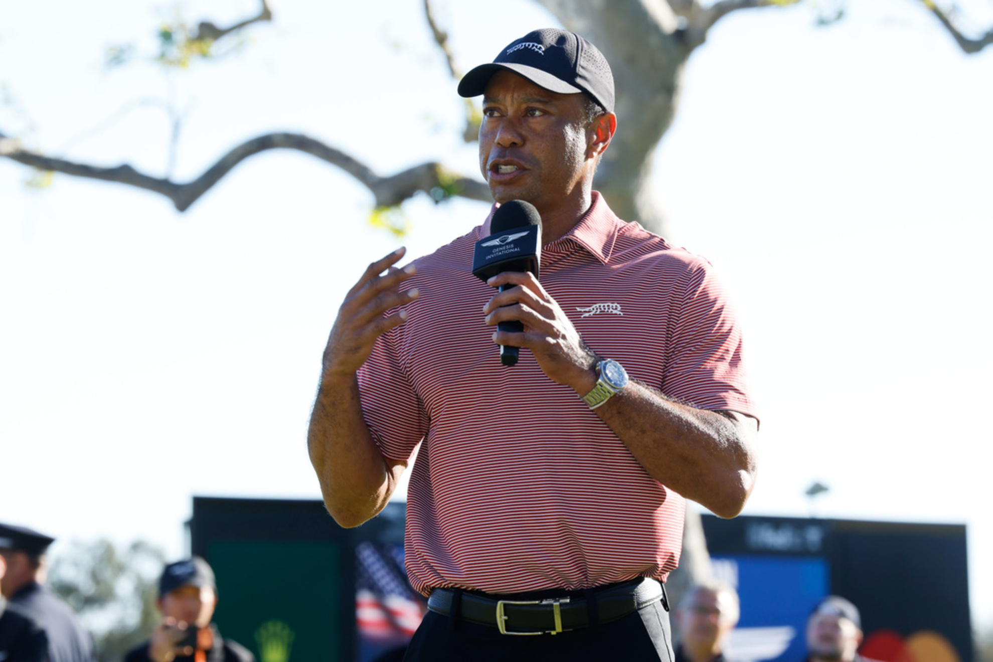 Tiger Woods